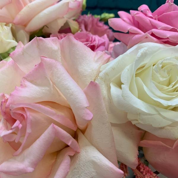 Французская роза и  альстромерия "Нежный всплеск"