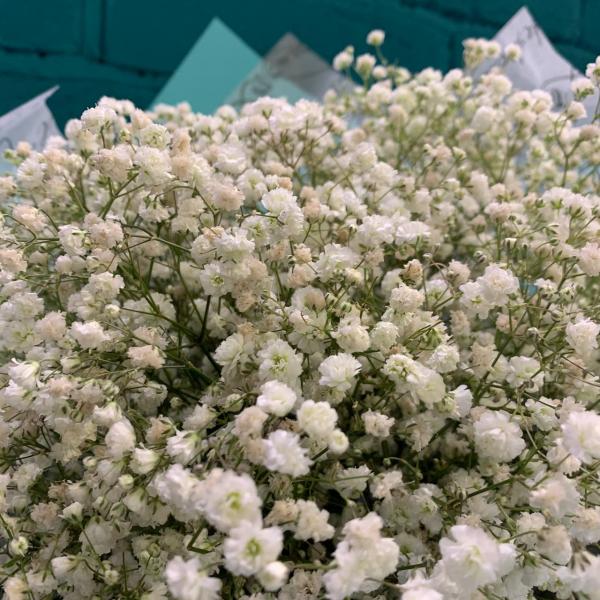11 белых гипсофил "Вечная нежность"