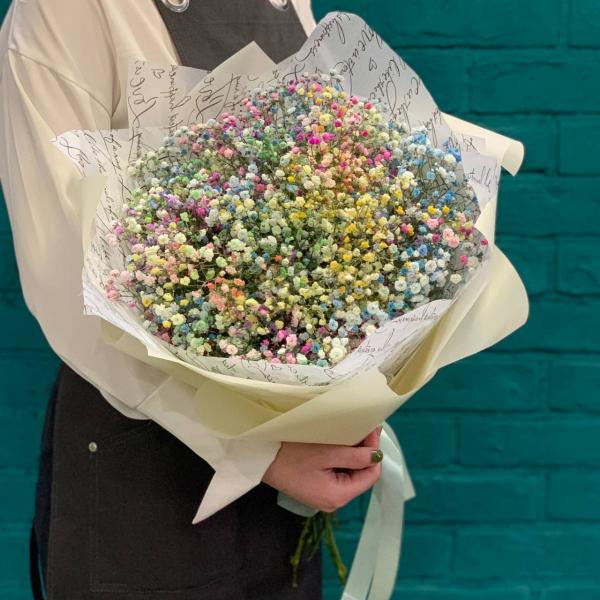 11 гипсофил "Молодость"