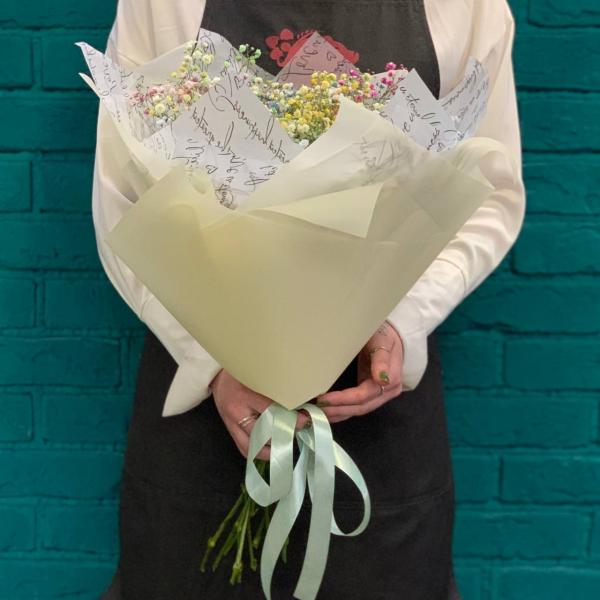 11 гипсофил "Молодость"