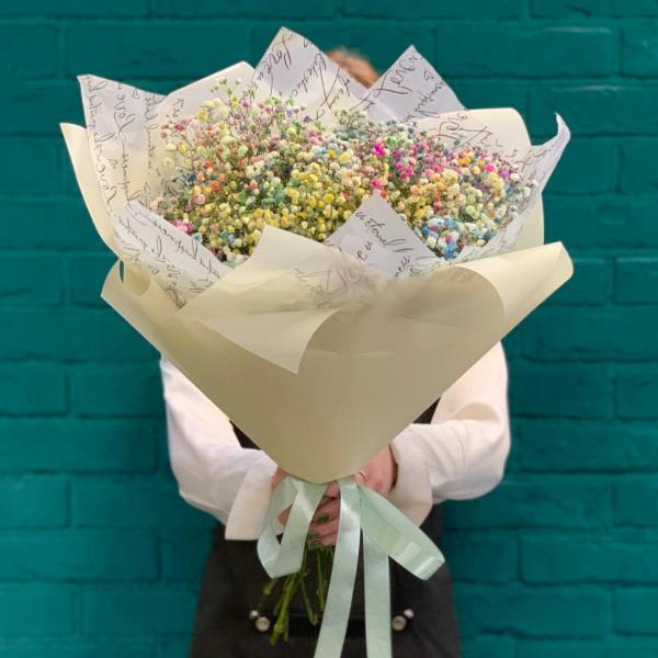 11 гипсофил "Молодость"