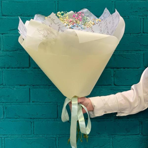 11 гипсофил "Молодость"