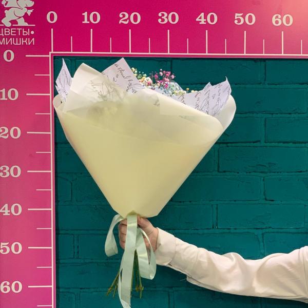 11 гипсофил "Молодость"