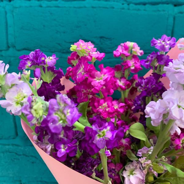 11 маттиол "Детский рай"