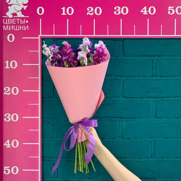 11 маттиол "Детский рай"