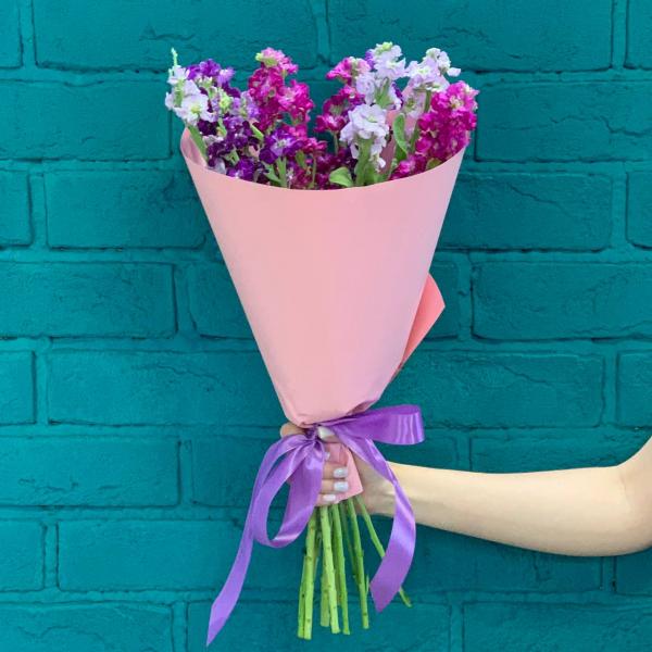 11 маттиол "Детский рай"