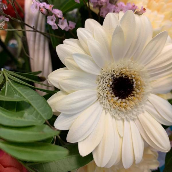  Роза и хризантема "Французский блюз" 