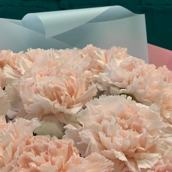 15 розовых гвоздик "Миг любви"