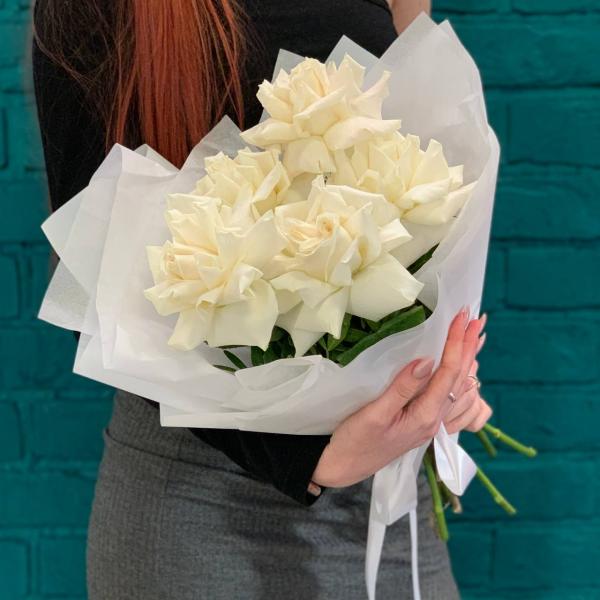  5 белых французских роз "Белоснежный взгляд"