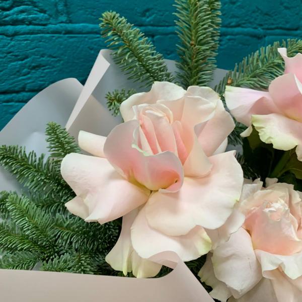 фото Французская роза и нобилис "Рождественская романтика"