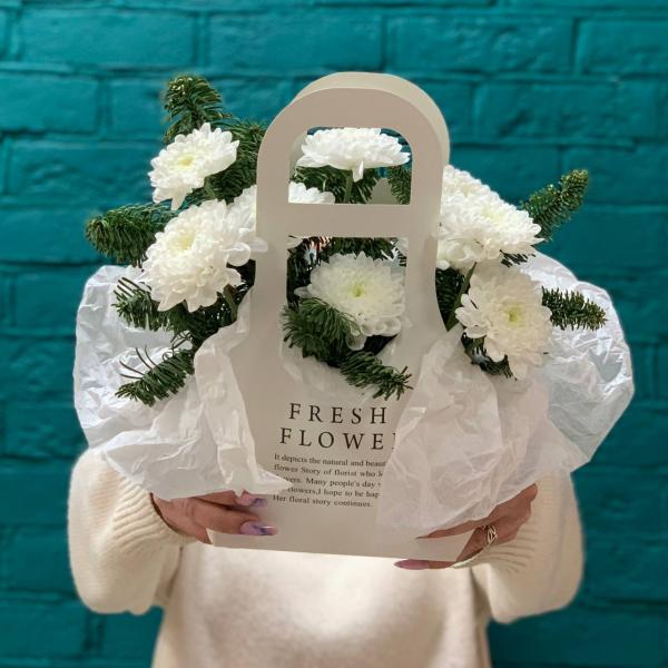 фото Белой хризантемы и нобилиса "Зимняя сказка"