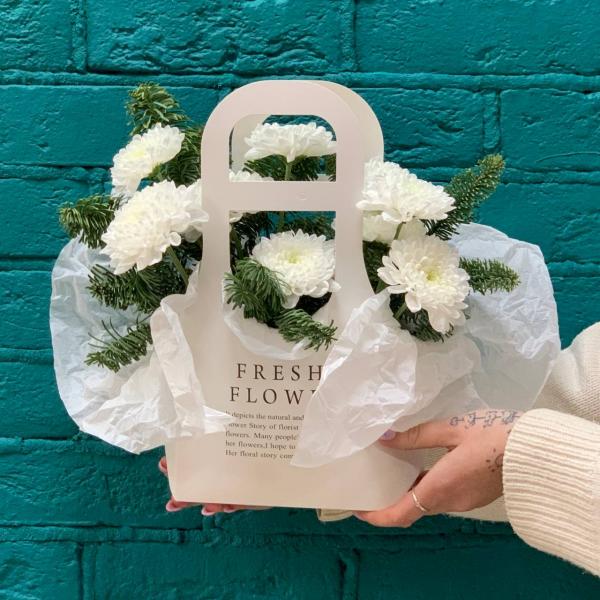 фото Белой хризантемы и нобилиса "Зимняя сказка"