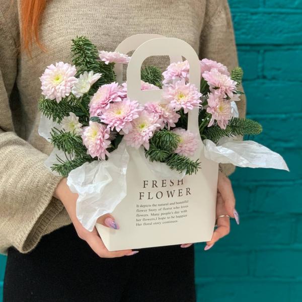 фото Розовой хризантемы и нобилиса "Розовая мишура"