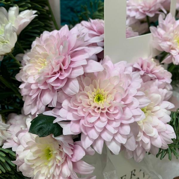 фото Розовой хризантемы и нобилиса "Розовая мишура"