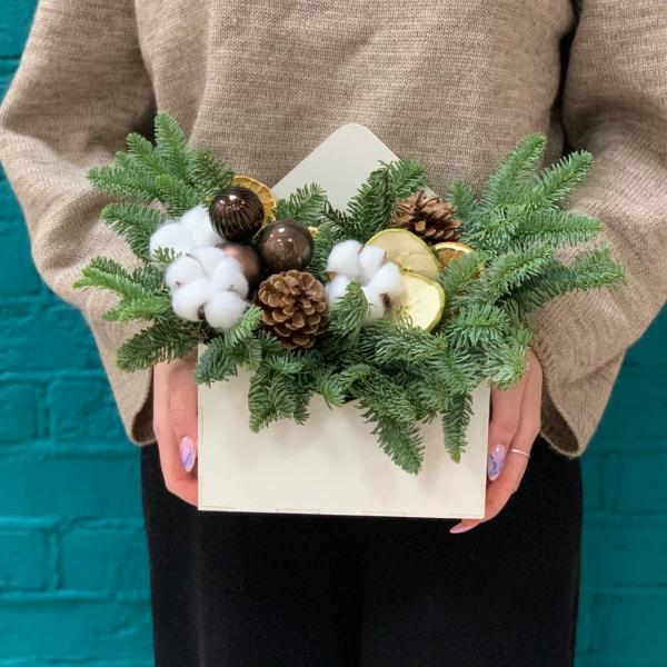 фото Нобилиса и игрушек "Еловый лес"