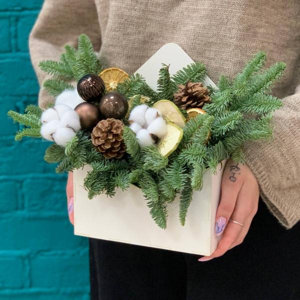 фото Нобилиса и игрушек "Еловый лес"