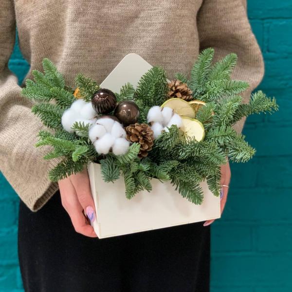 фото Нобилиса и игрушек "Еловый лес"