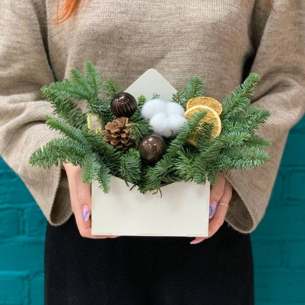 фото Нобилиса и игрушек "Сочельник"