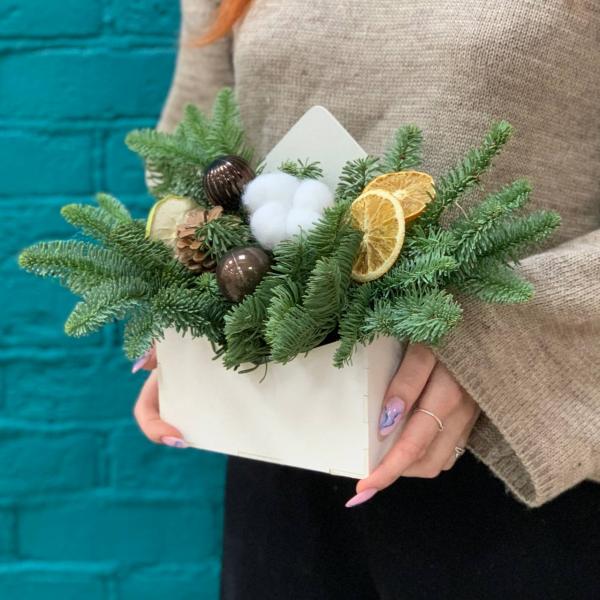 фото Нобилиса и игрушек "Сочельник"