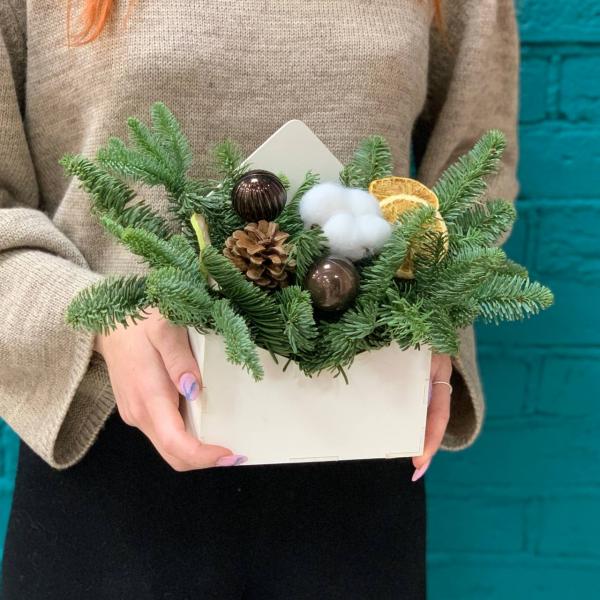 фото Нобилиса и игрушек "Сочельник"