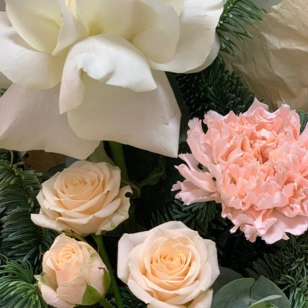 фото Нобилиса и гвоздики "Имбирный пряник"