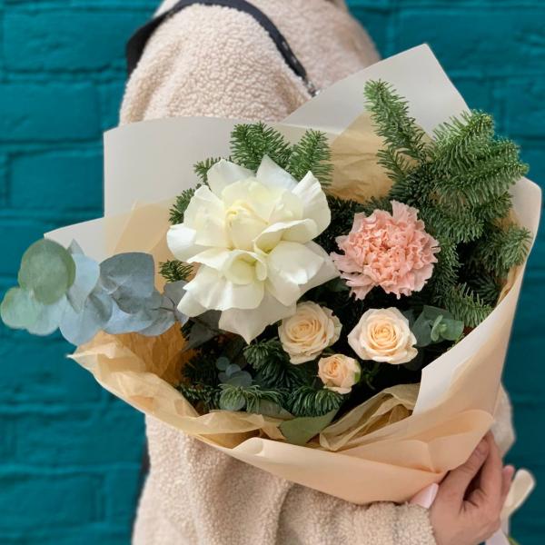 фото Нобилиса и гвоздики "Имбирный пряник"