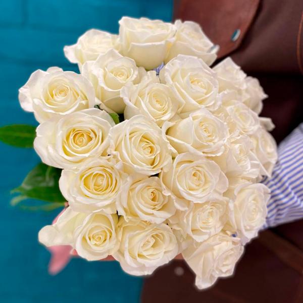 23 белые розы “Дана“