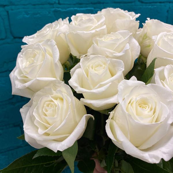 23 белые розы “Дана“