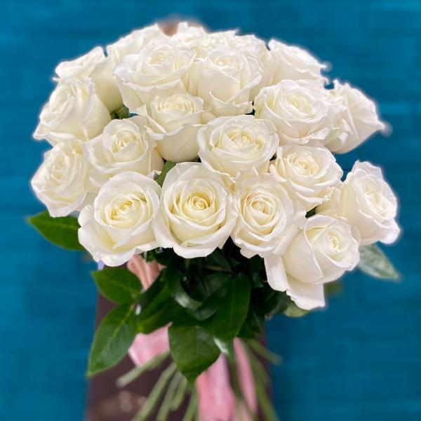 23 белые розы “Дана“
