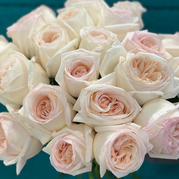 21 роз “Медовый аромат“