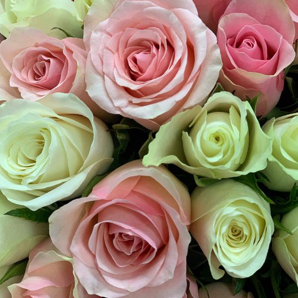 49 роз “Астрид“