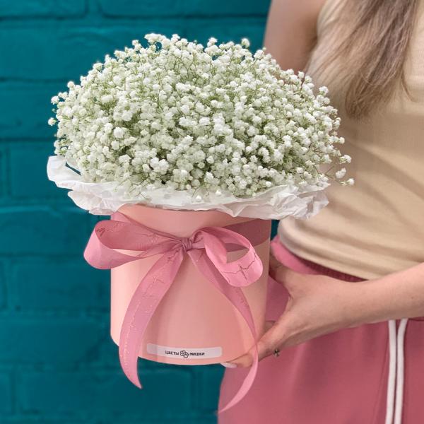 9 гипсофил “Лёгкость“