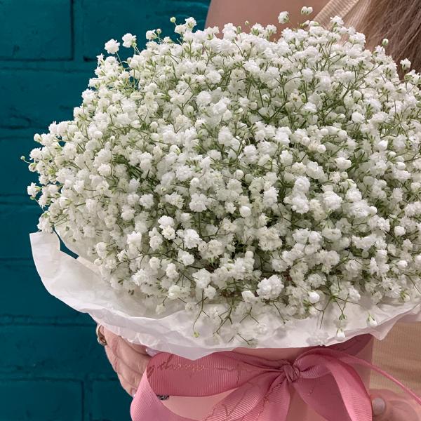 9 гипсофил “Лёгкость“