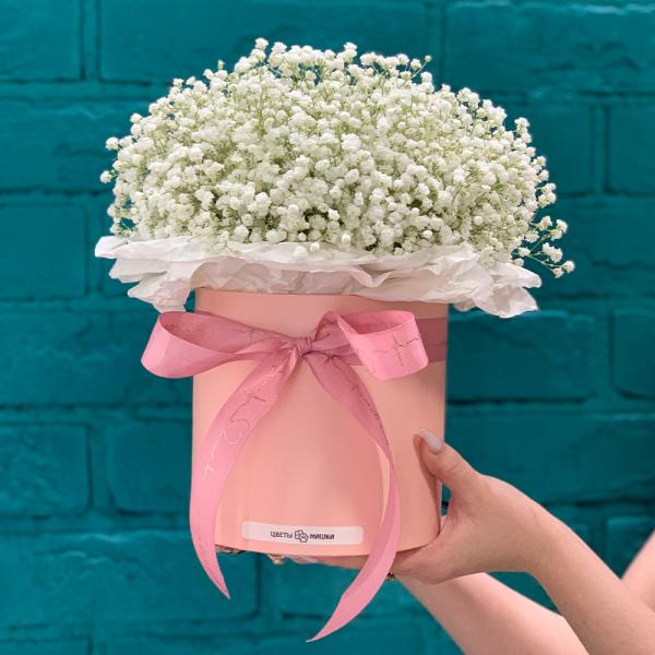 9 гипсофил “Лёгкость“