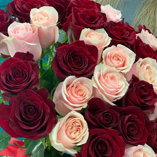 41 роза “Фрутетта“