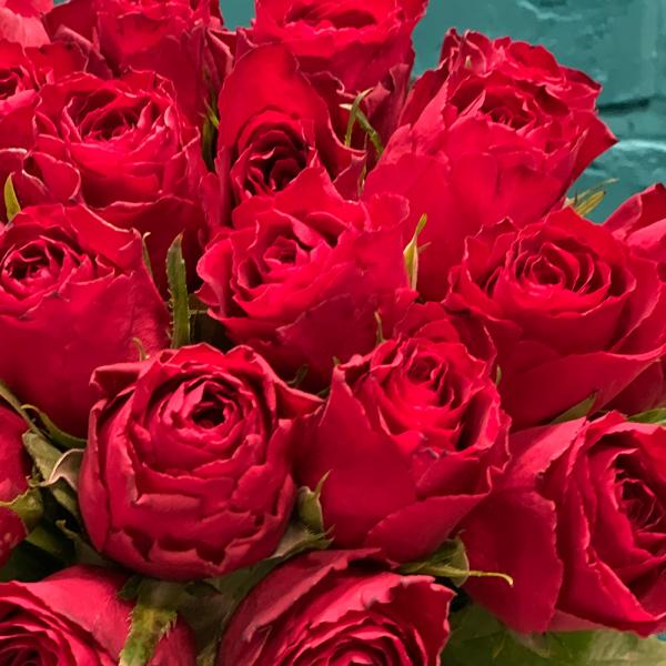 21 красная роза “Алая любовь“