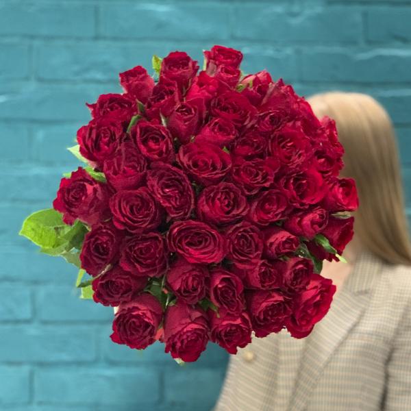 51 красная роза “Пустынное сокровище“