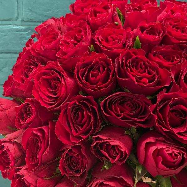 51 красная роза “Пустынное сокровище“