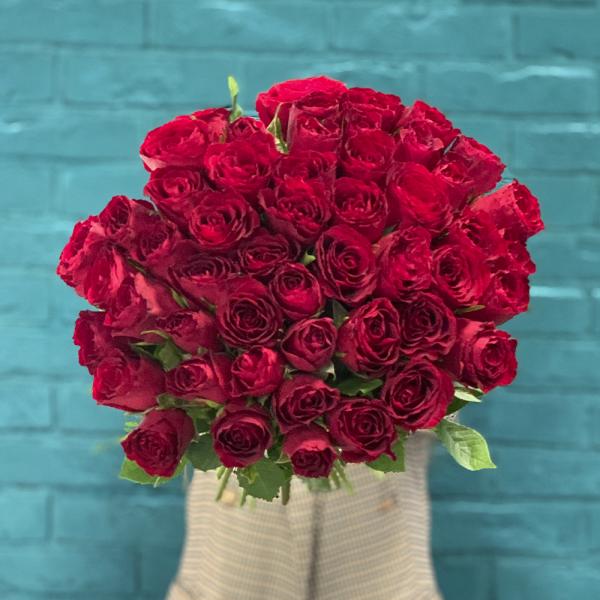 51 красная роза “Пустынное сокровище“