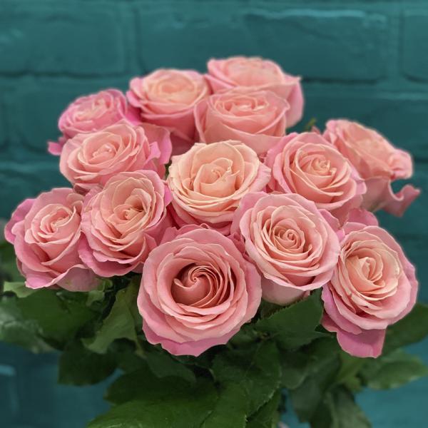 13 роз “Розовая пантера“