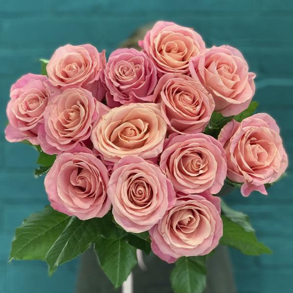 13 роз “Розовая пантера“