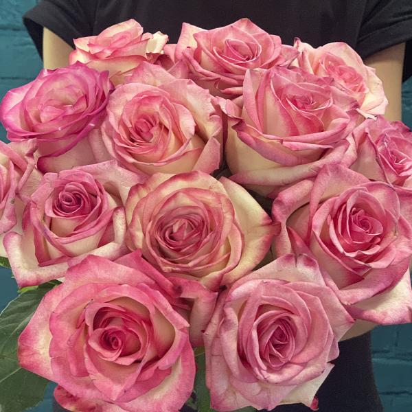 13 розовых роз “Лагуна“
