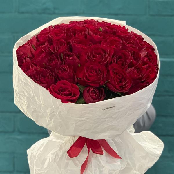 51 красная роза “Танго“