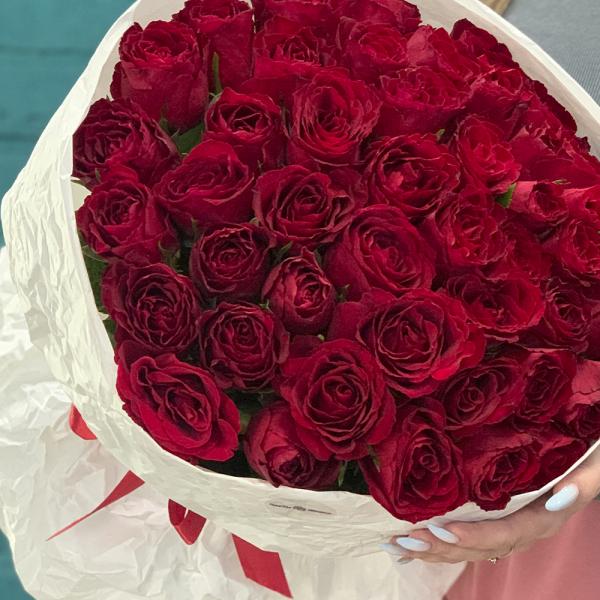 51 красная роза “Танго“