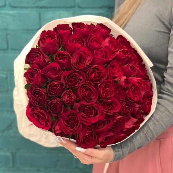 51 красная роза “Танго“