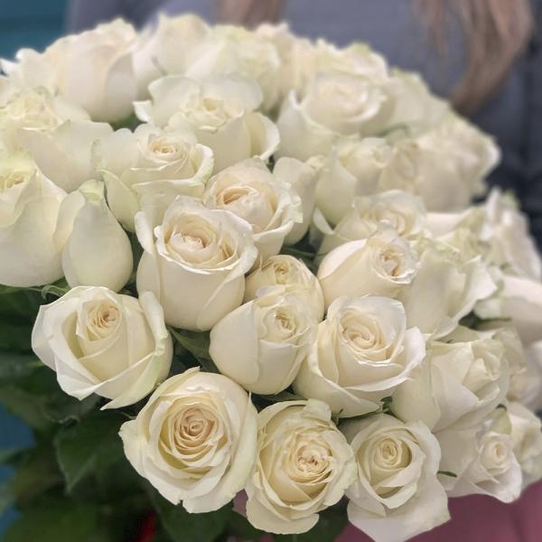 51 белая роза “Венский лес “