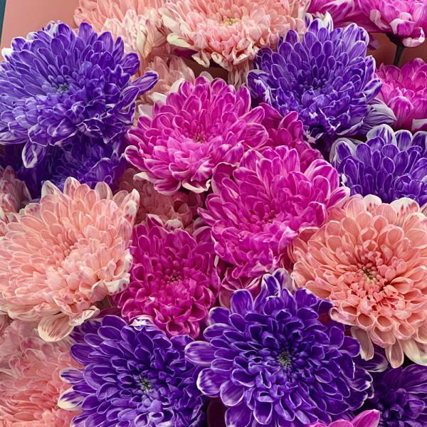 9 хризантем "Детский смех"