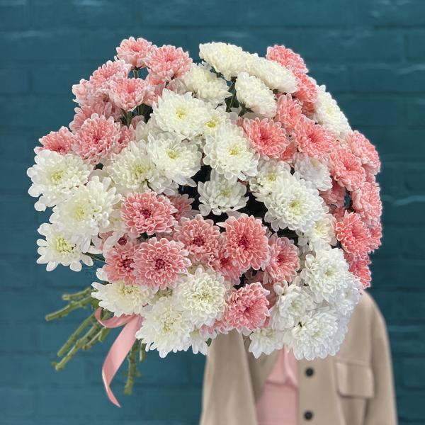 15 хризантем “Пышка“