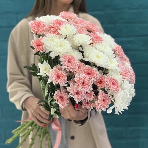 15 хризантем “Пышка“