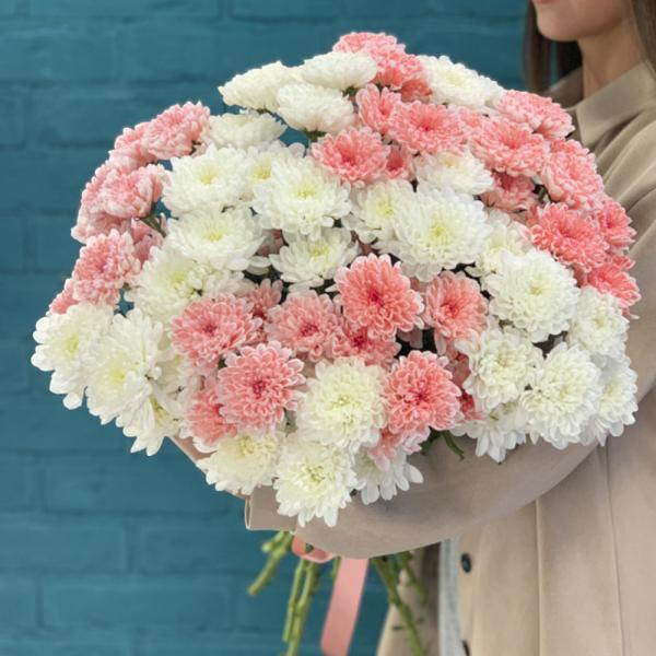 15 хризантем “Пышка“